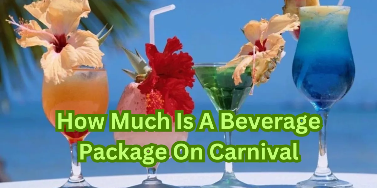 How Much Is A Beverage Package On Carnival