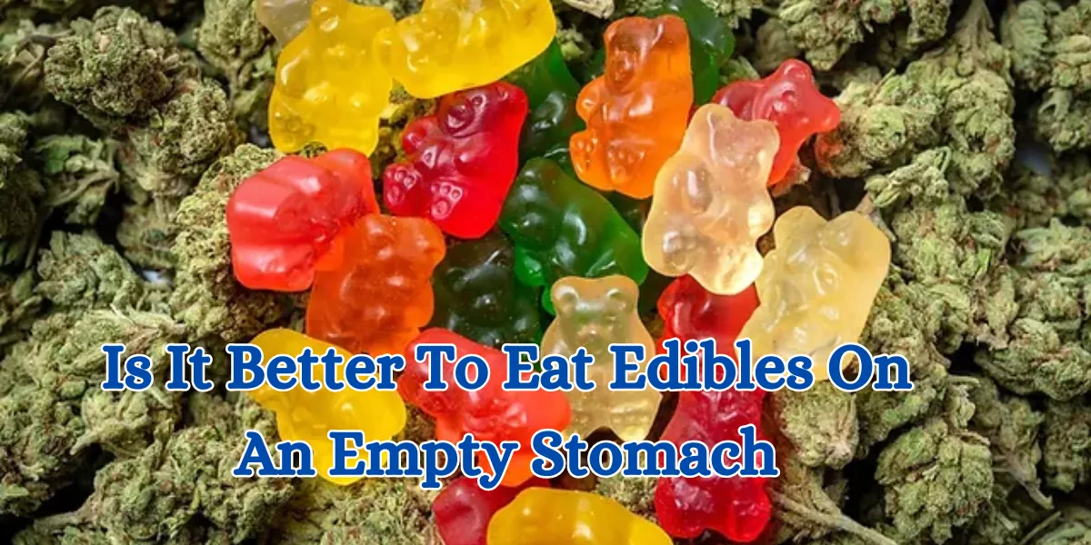 Is It Better To Eat Edibles On An Empty Stomach